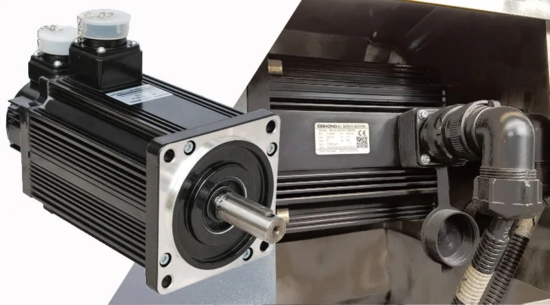 WEIHONG Servo Motor